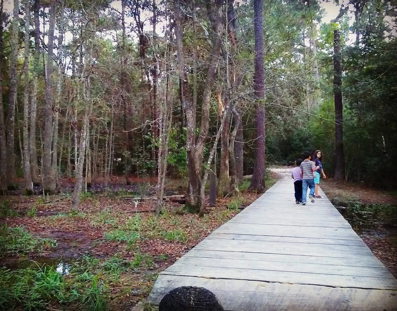 Telge Park in Cypress, TX