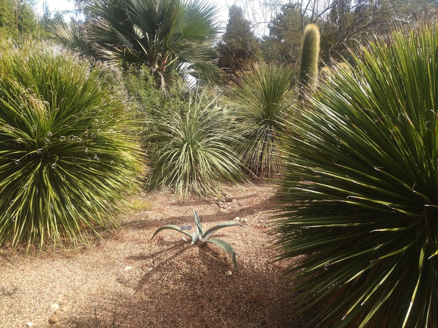 The John Fairey Garden Conservation Foundation in Hempstead, TX