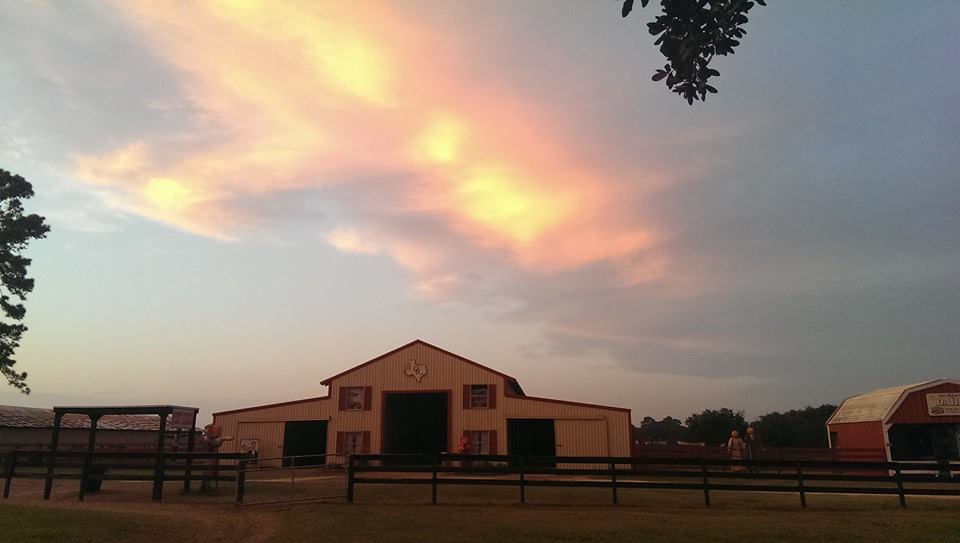 Oil Ranch in Hockley, TX