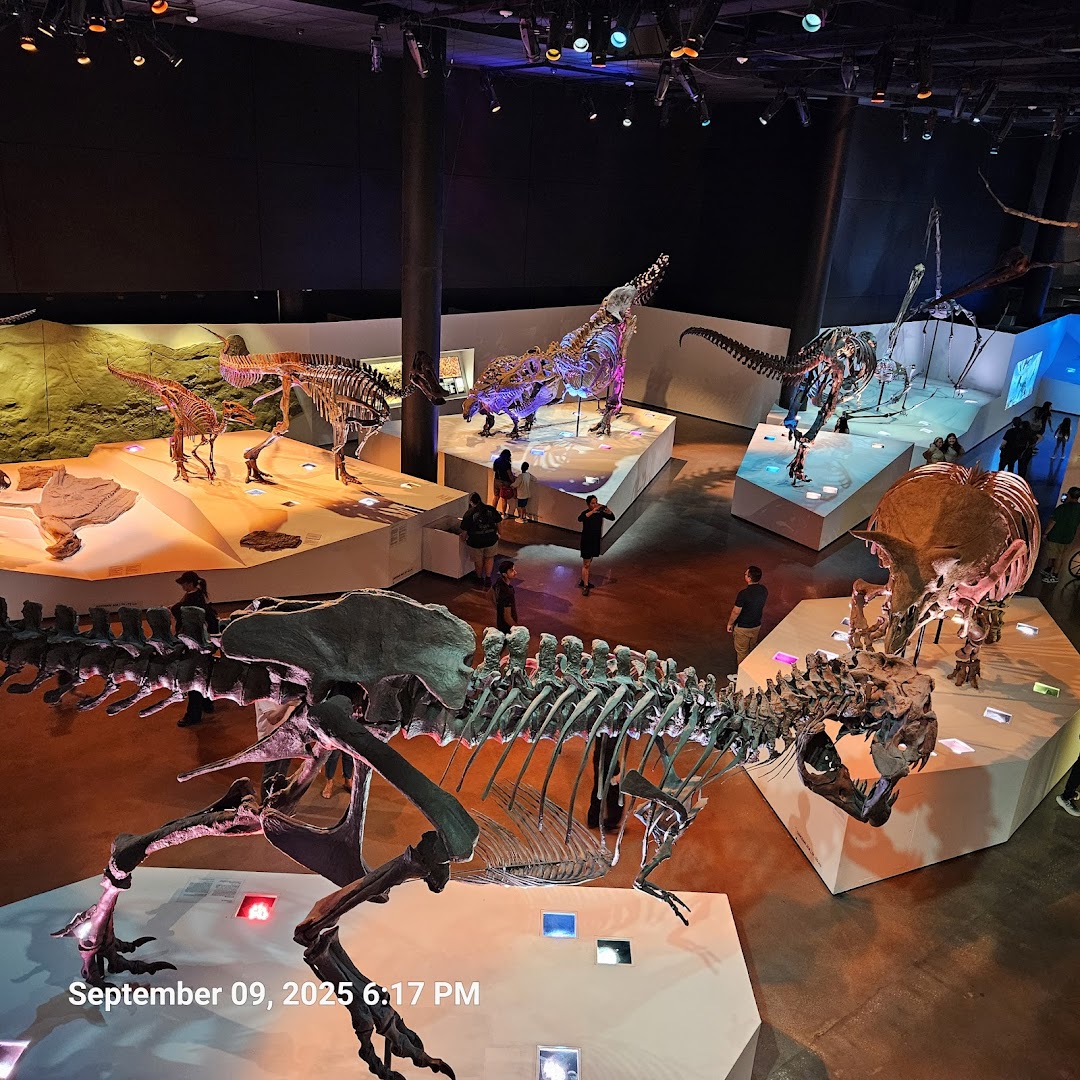 Houston Museum of Natural Science in Houston, TX