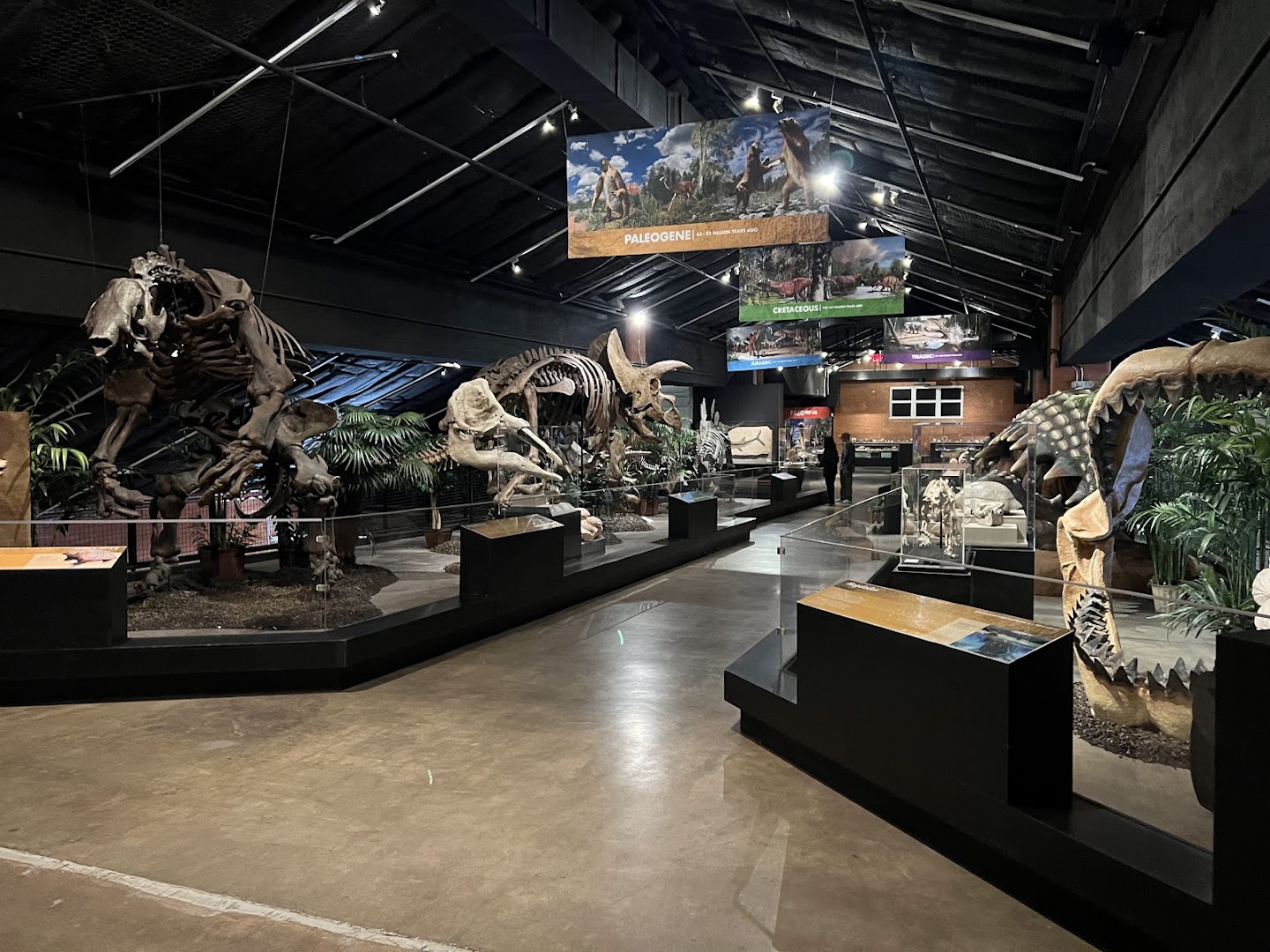 Houston Museum of Natural Science at Sugar Land in Sugar Land, TX